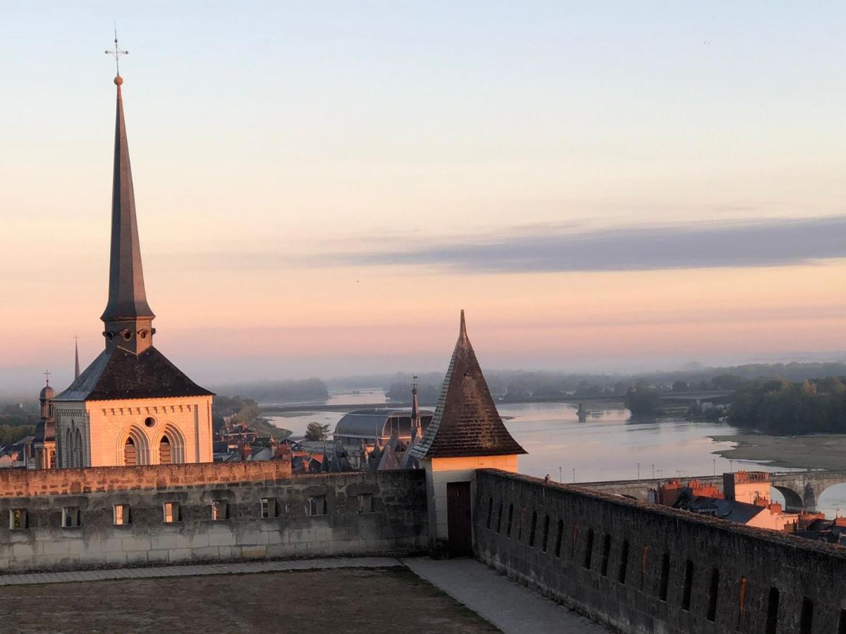 Bed and Breakfast Bulles De Loire Saumur Exterior foto